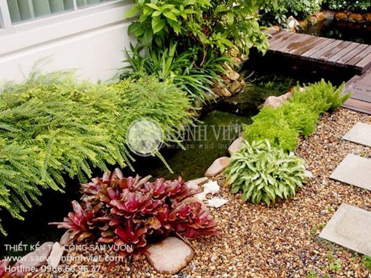 Mẫu tiểu cảnh sân vườn nhà phố đẹp hồ cá koi