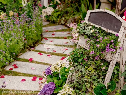 Trang trí sân vườn nhỏ đẹp với những chậu hoa