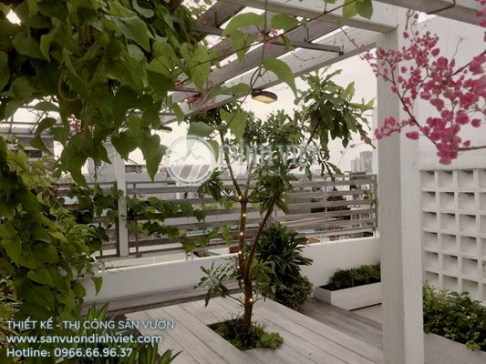 Thi công vườn trên sân thượng đẹp phong cách Âu