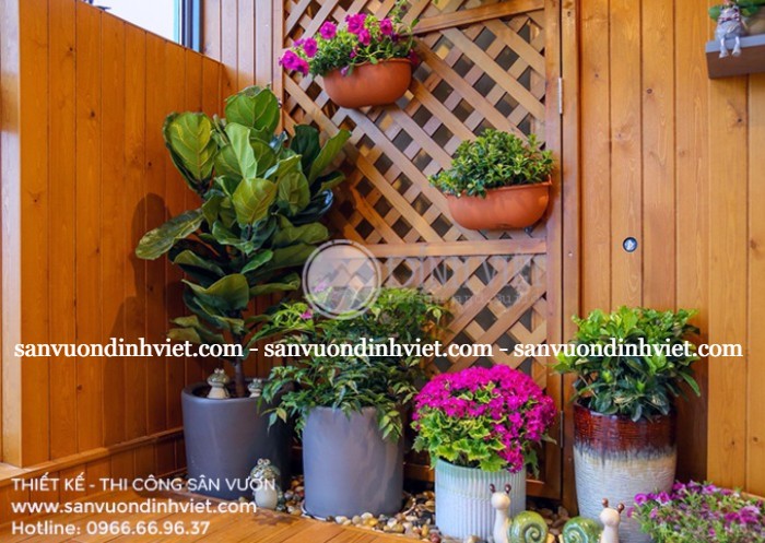 Tiểu cảnh sân vườn cho nhà phố Tiểu cảnh sân vườn cho nhà phố