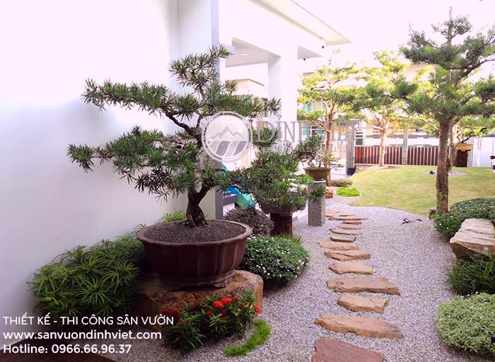 Tiểu cảnh trong nhà Tiểu cảnh trong nhà
