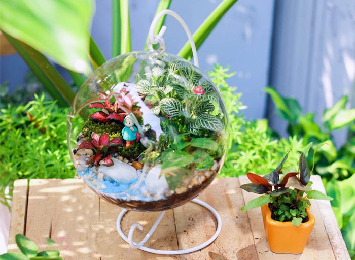 Tiểu cảnh mini để bàn Tiểu cảnh mini để bàn