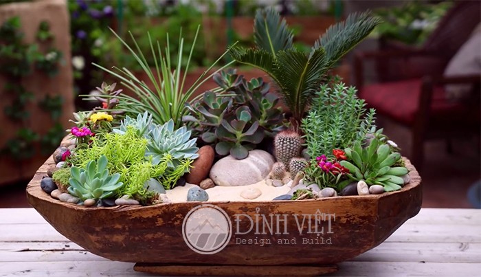 Tiểu cảnh sen đá Tiểu cảnh sen đá